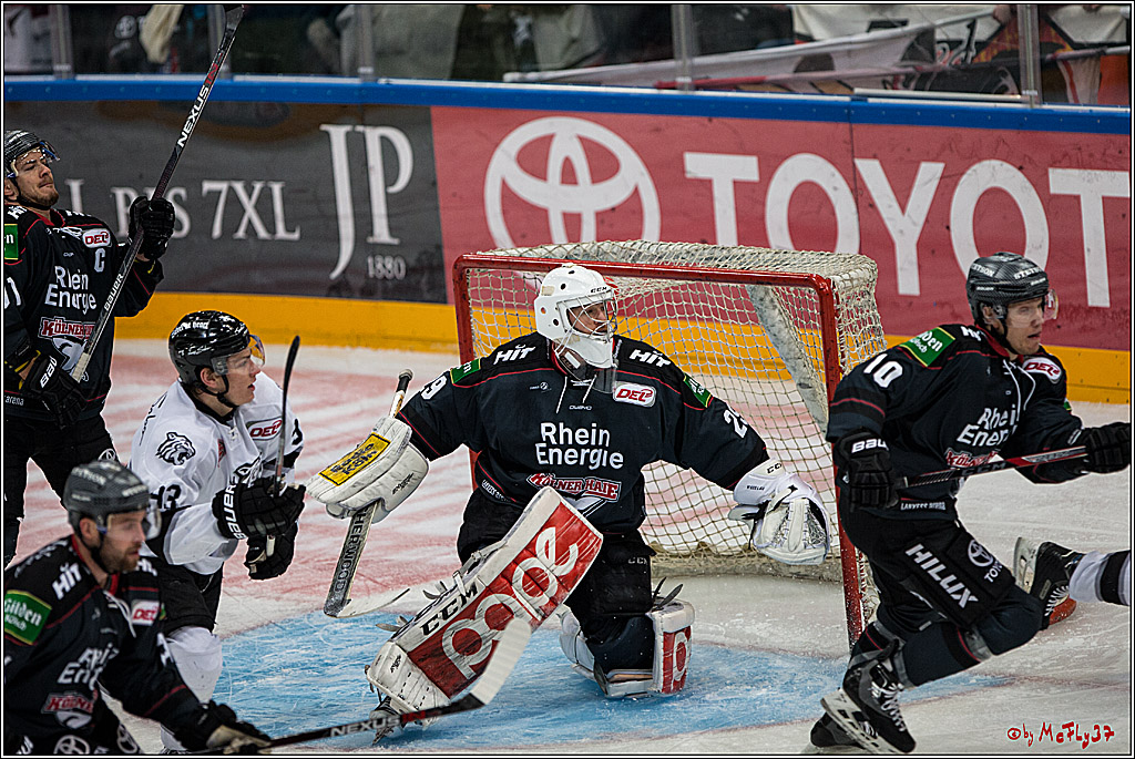 DEL, Koelner Haie - Nuernberg Ice Tiger, 24.01.2017